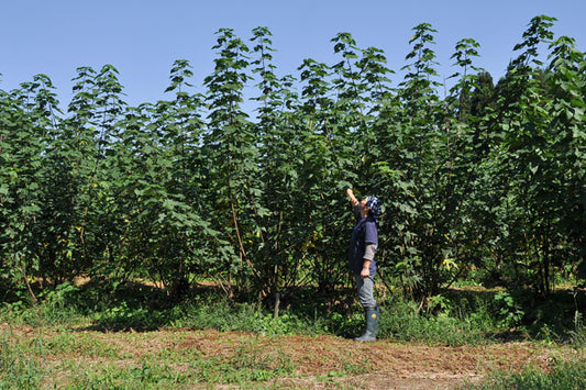 Sustainability in Your Art Studio