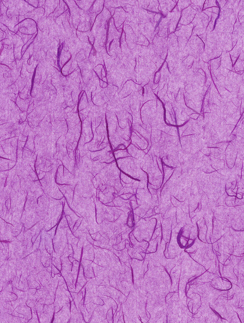 Unryu Tissue Purple