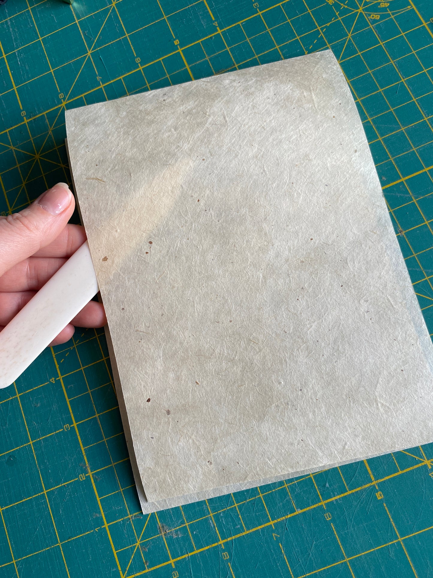 Bone Folder