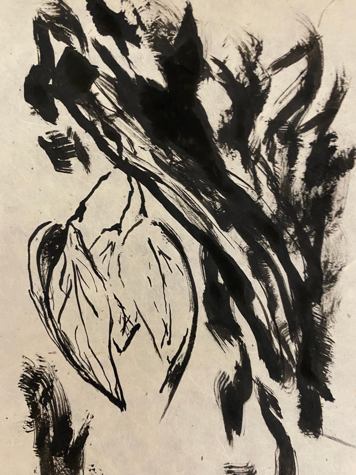 Gampi Smooth (Salago) MM #43