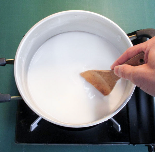 Adhesive - Jin Shofu 100g