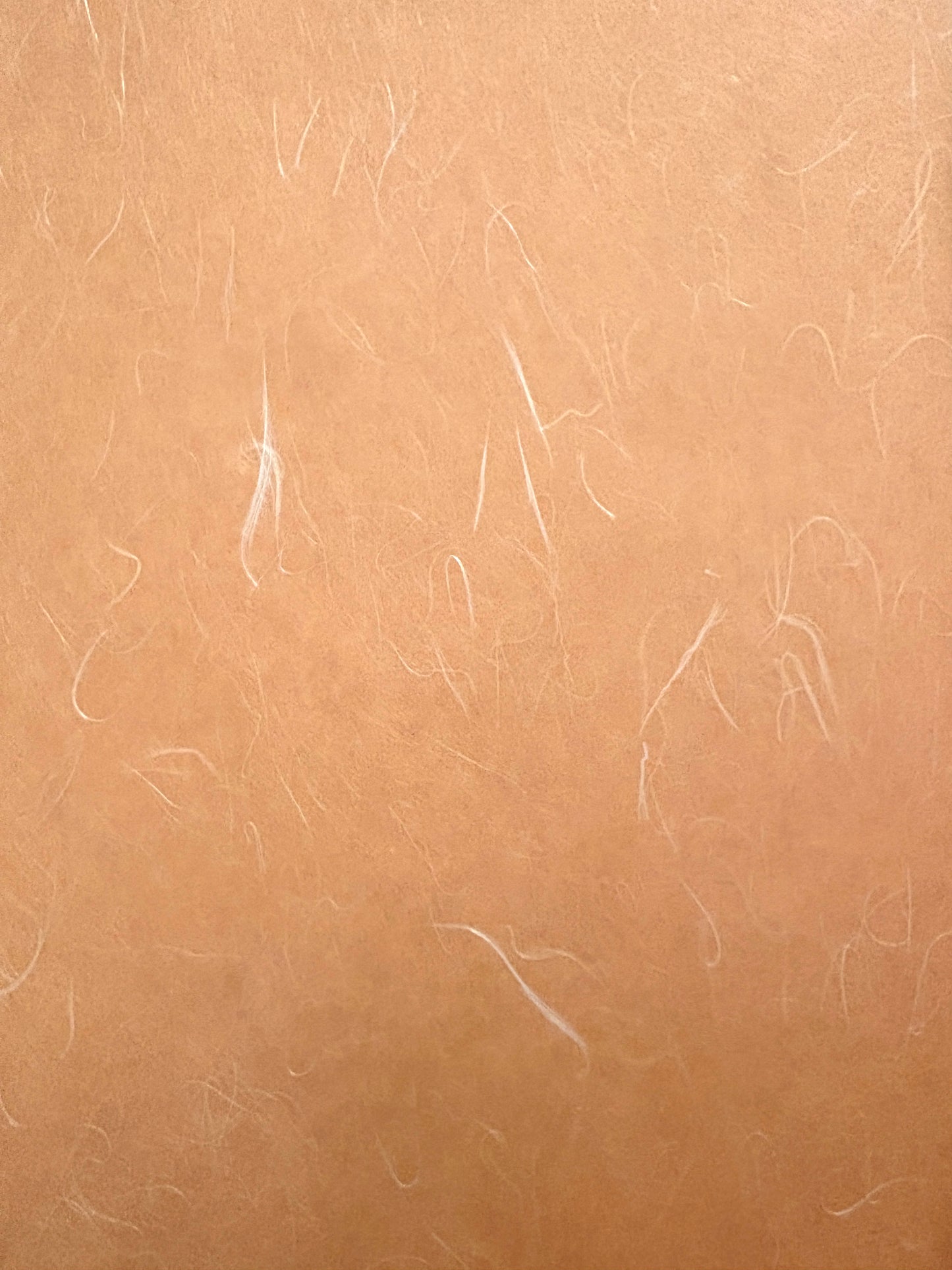 Unryu Tissue Apricot