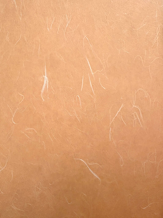 Unryu Tissue Apricot